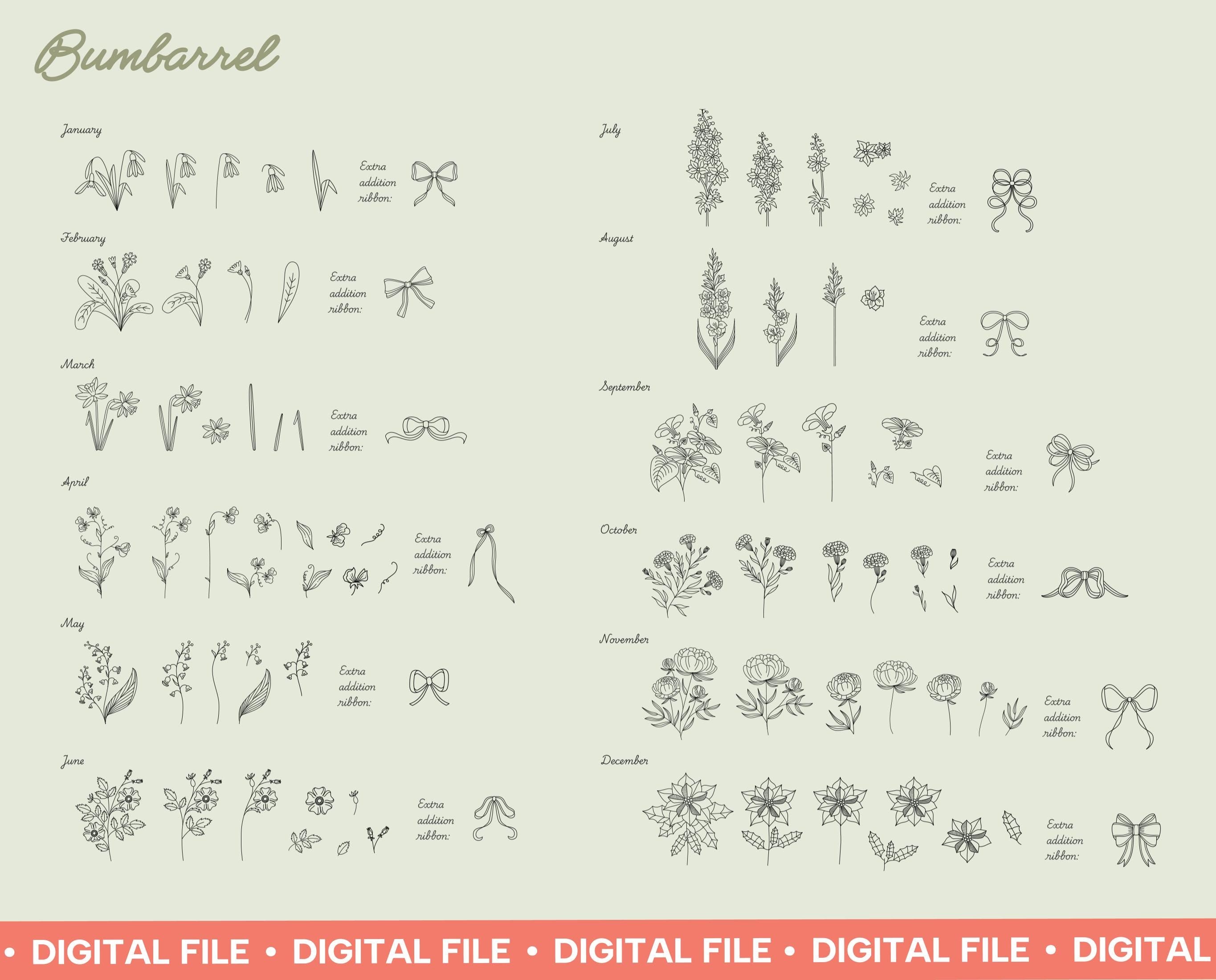 Birth Flowers Procreate Stamps: Hand-drawn Floral Designs